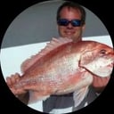 Mark Wheeler