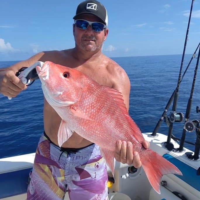 Clearwater Red Snapper