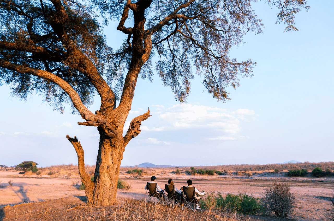 men sitting under tree in ruaha national park