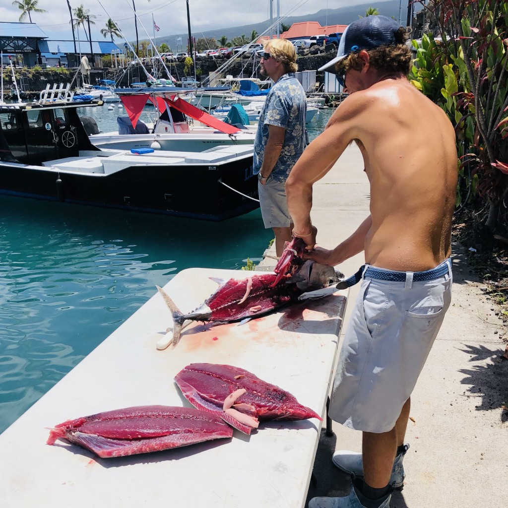 Cleaning A Skipjack Tuna