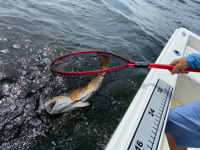 Fishing For Redfish With Captain Seth