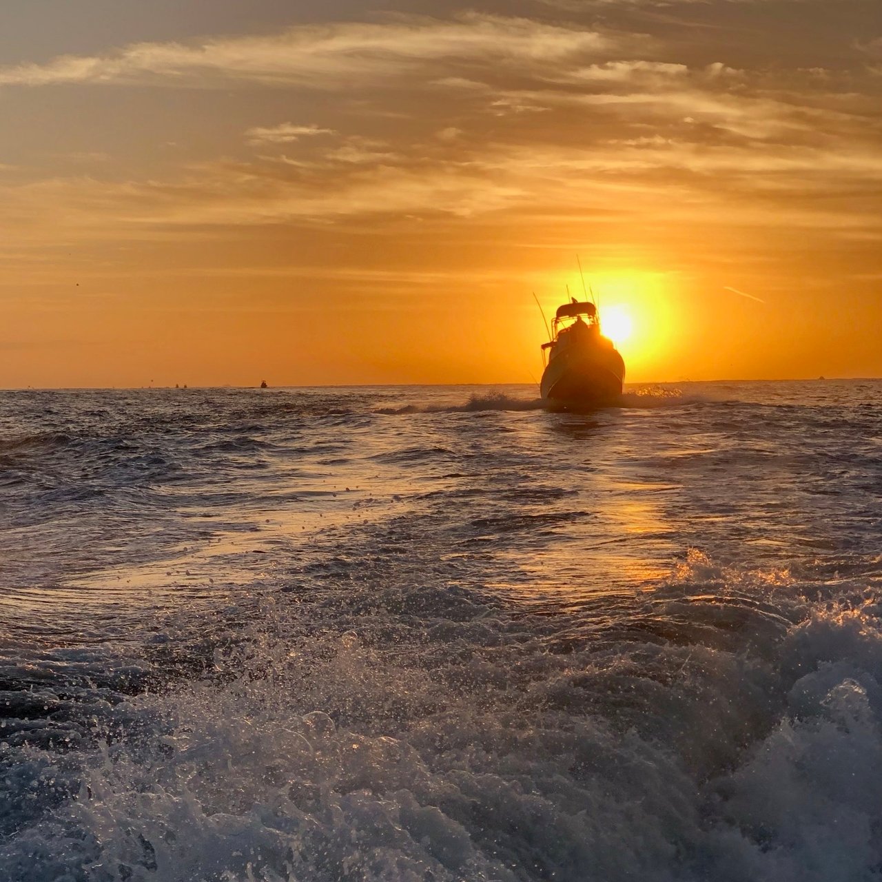 Morning Sunrise In Cabo