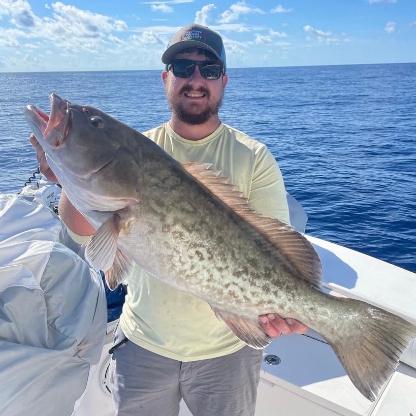 Gag Grouper Fishing in Florida