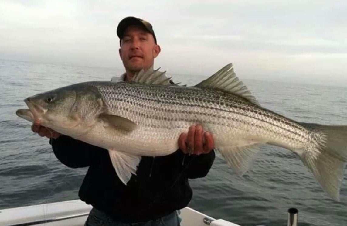 Virginia Beach Rockfish