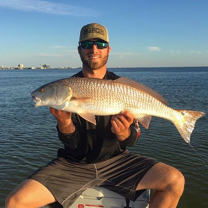 redfish in tampa