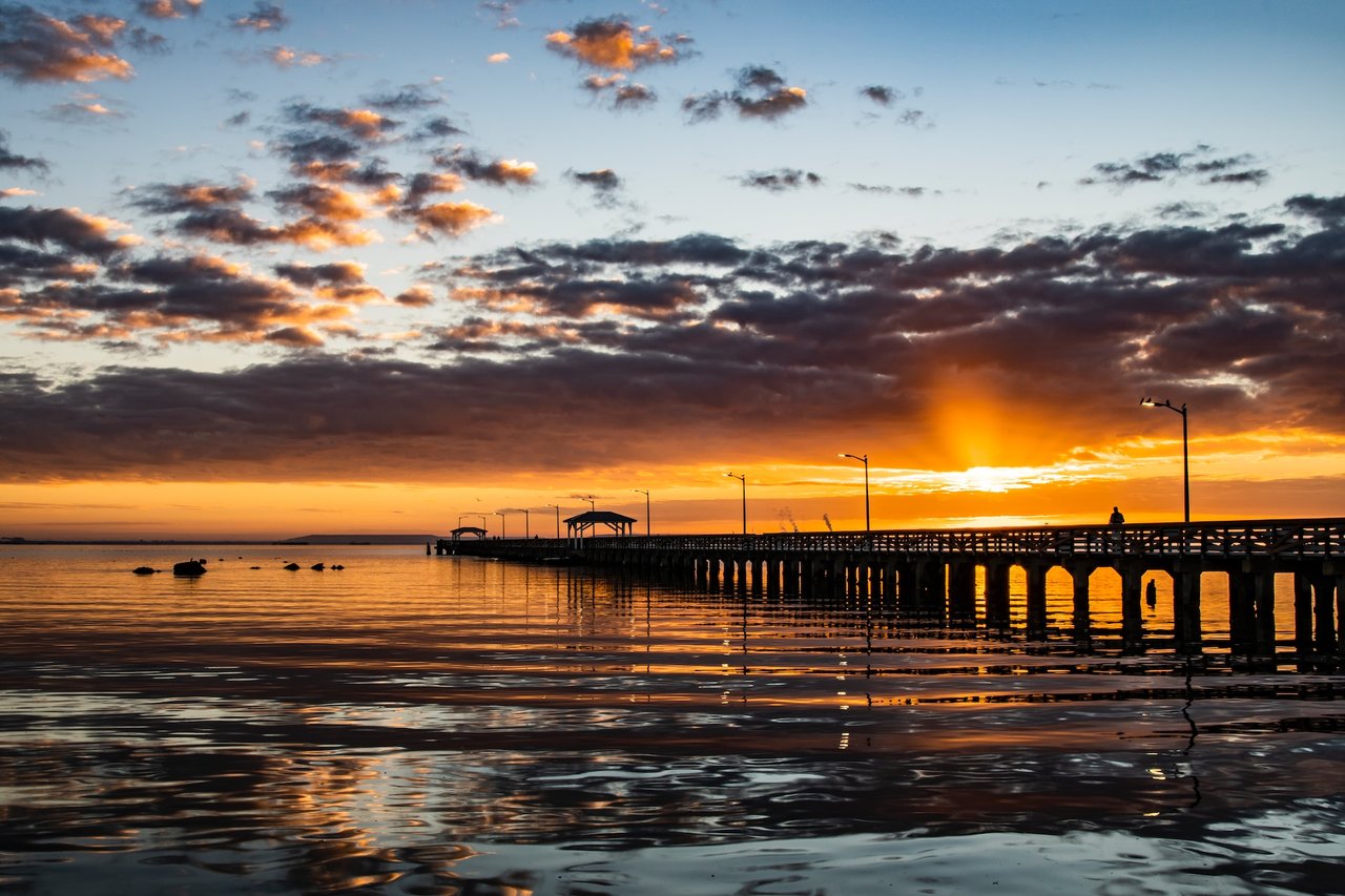 Ballast Point Pier in Tampa