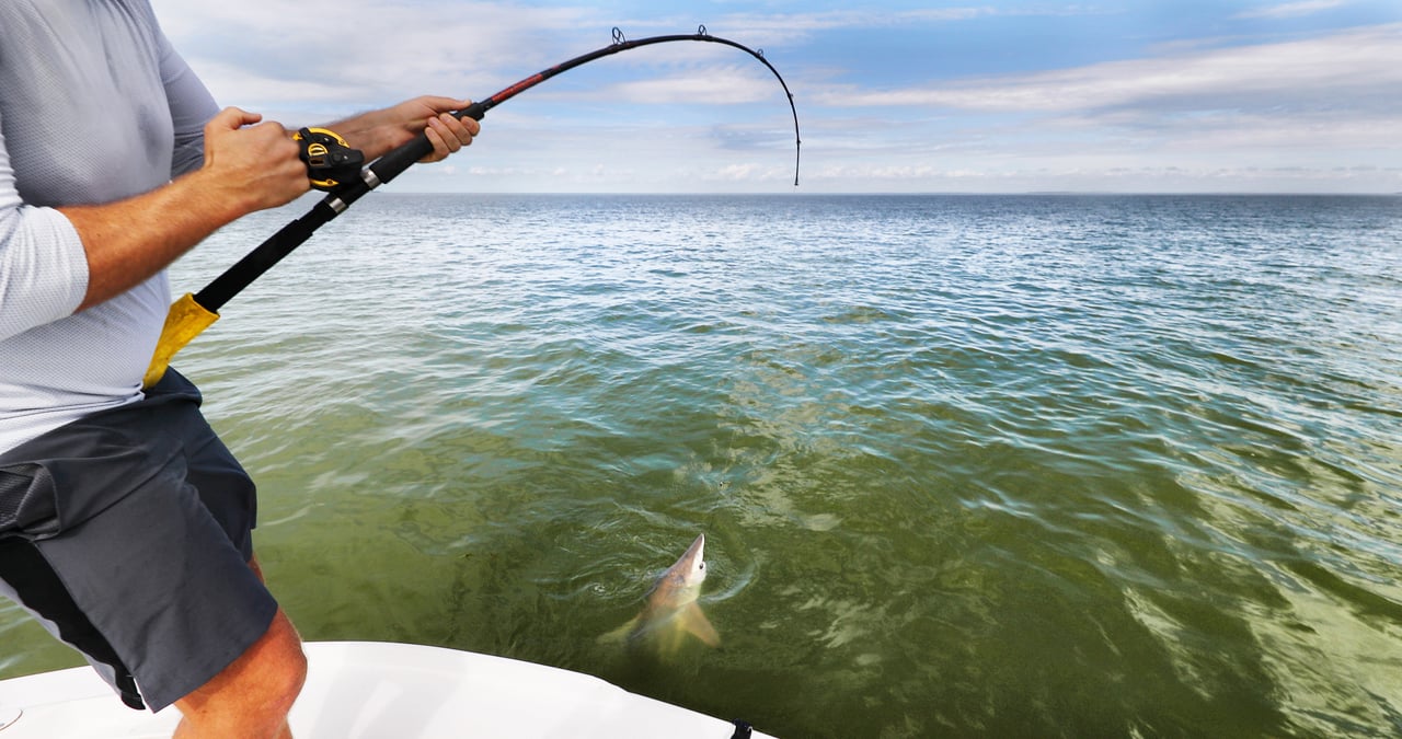 Shark Fishing On A Boat