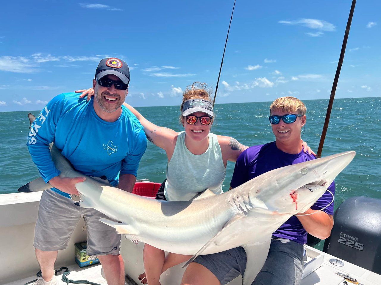 Blacktip shark in Florida
