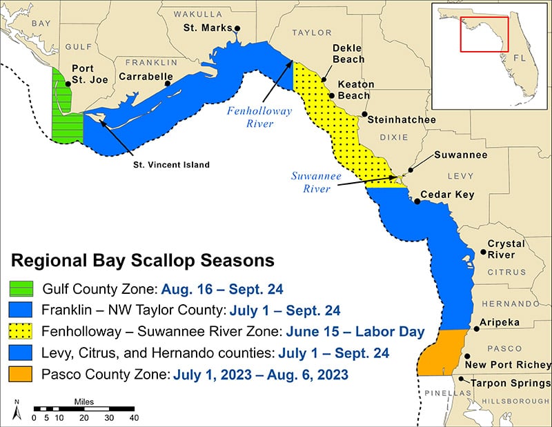Florida Bay Scallop Seasons