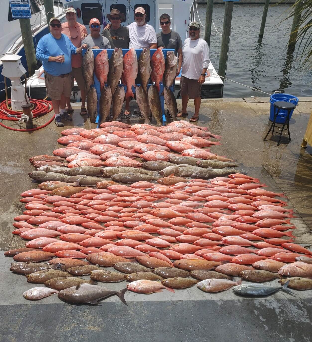 tons of offshore fish in panama city beach