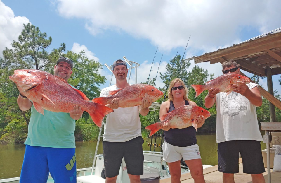 red snapper gulf shores