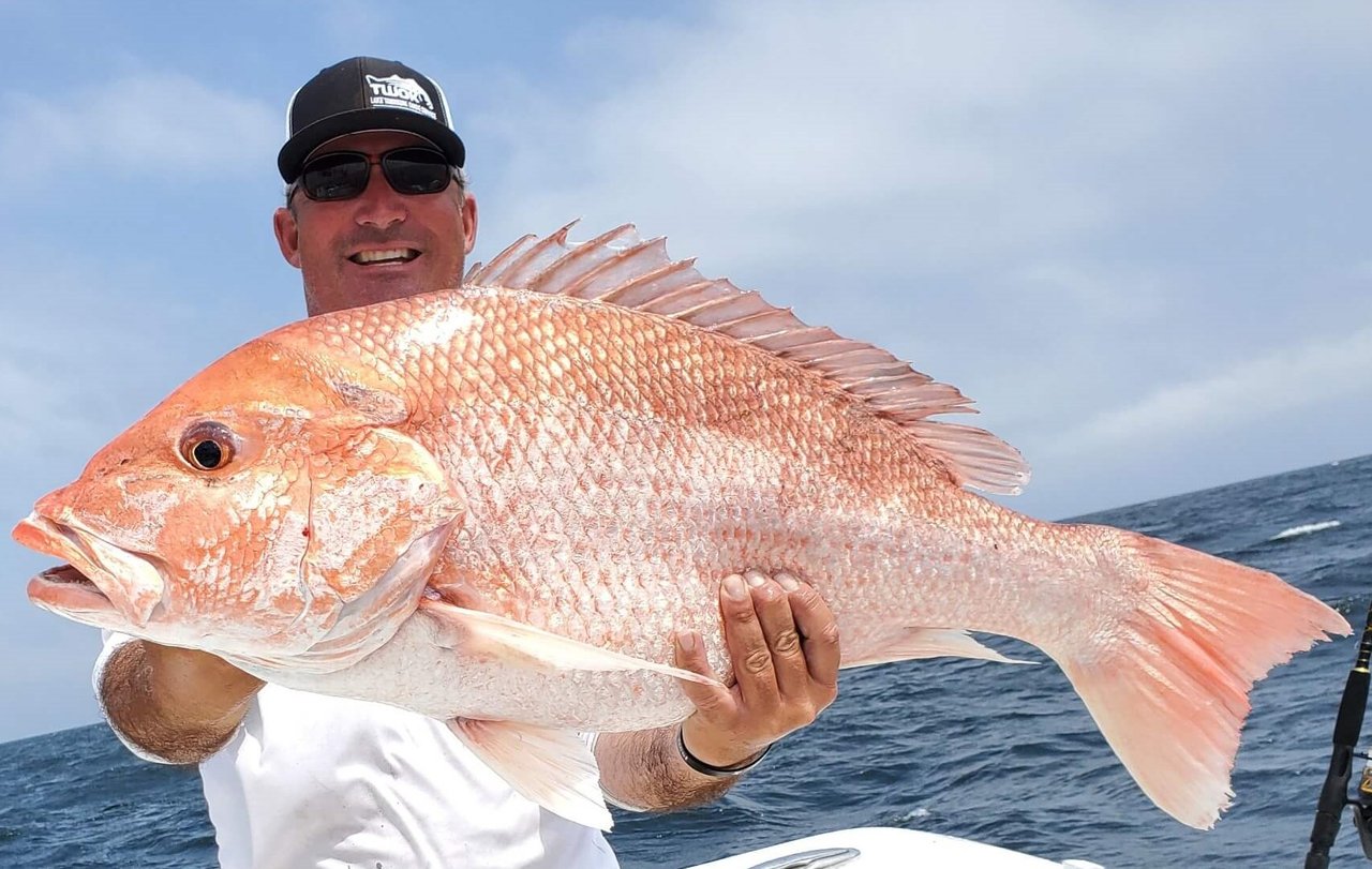 Red Snapper Caught In The Gulf of Mexico