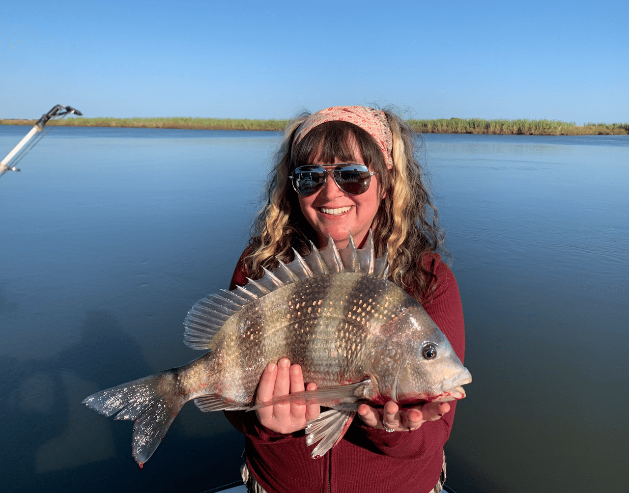 Sheepshead Caught In Louisiana