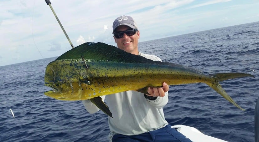 Mahi Mahi Caught Near Orange Beach AL