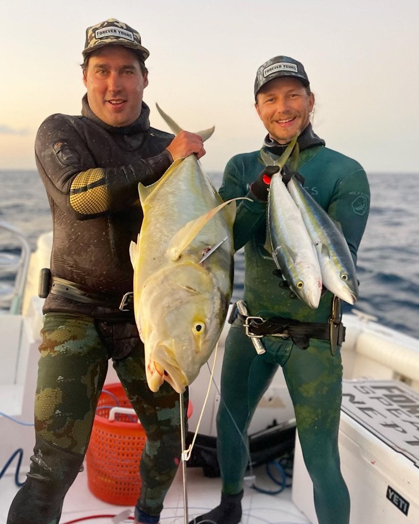 Yellowtail Amberjack