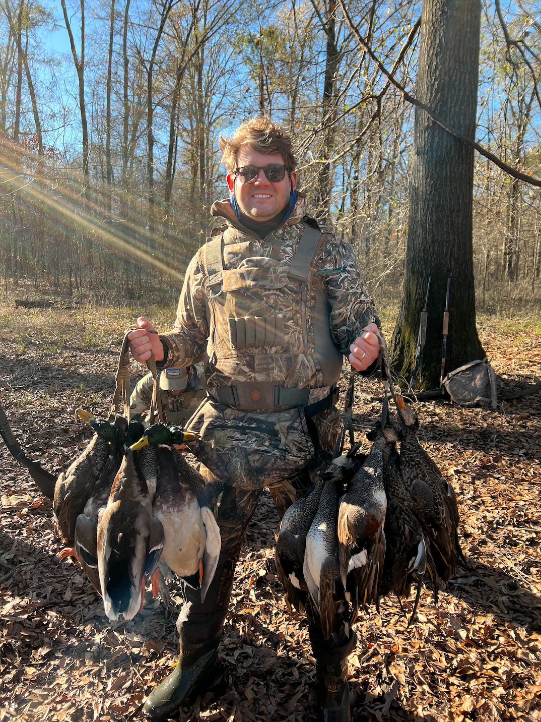 Gadwall