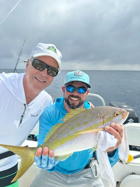 Yellowtail Snapper