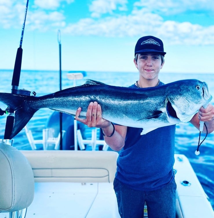 Bluefish