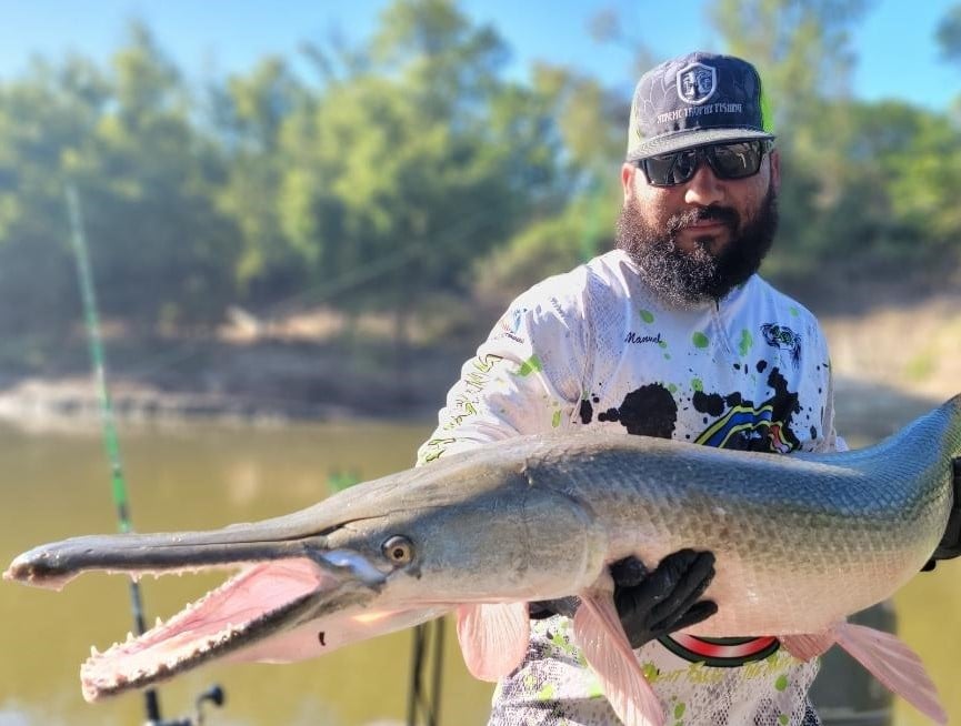 Alligator Gar