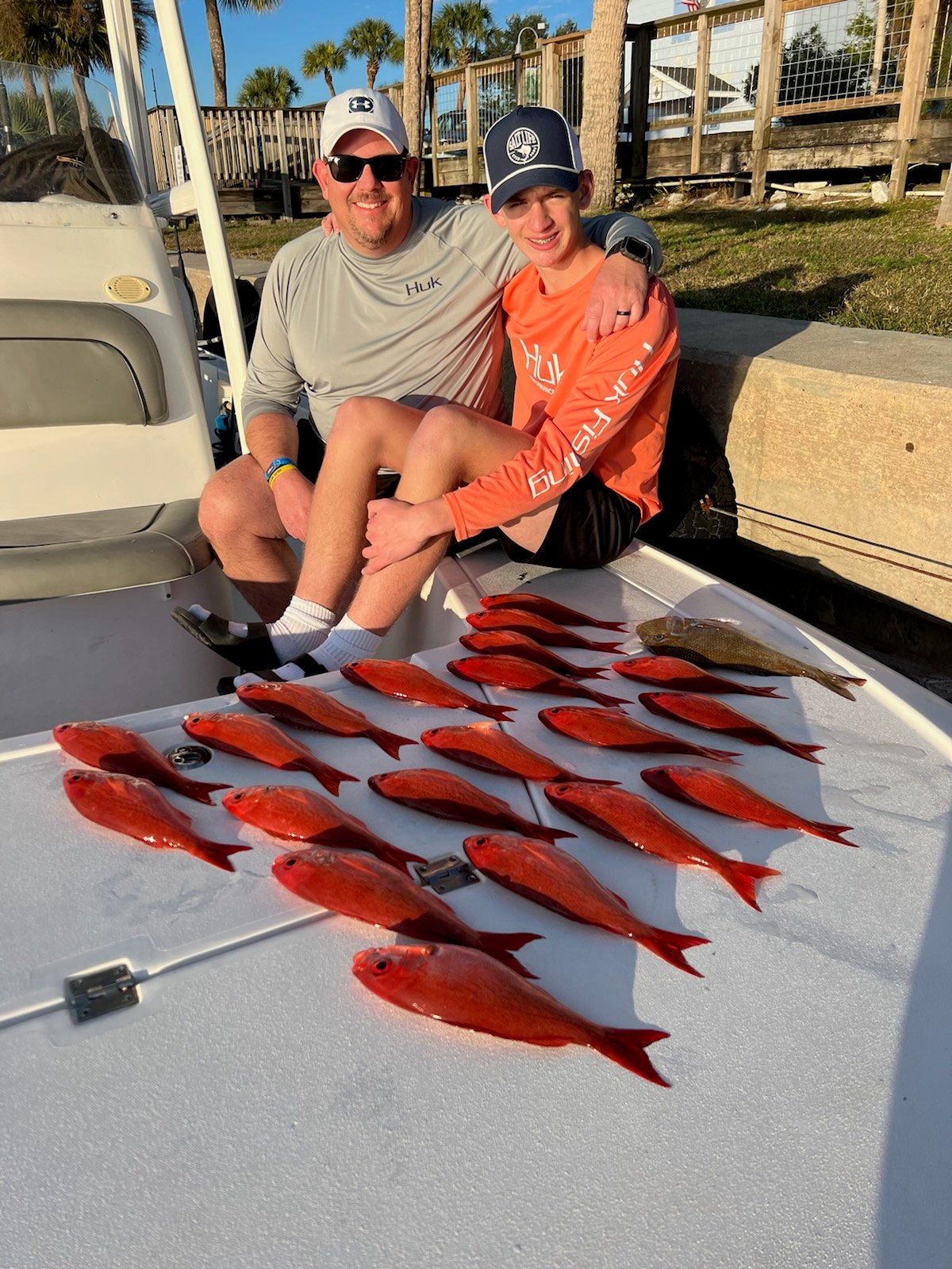 Vermillion Snapper