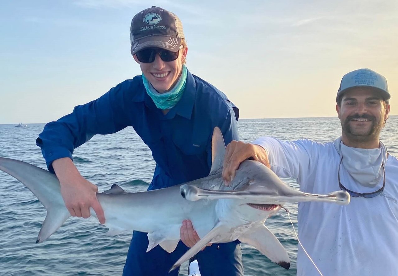 Hammerhead Shark
