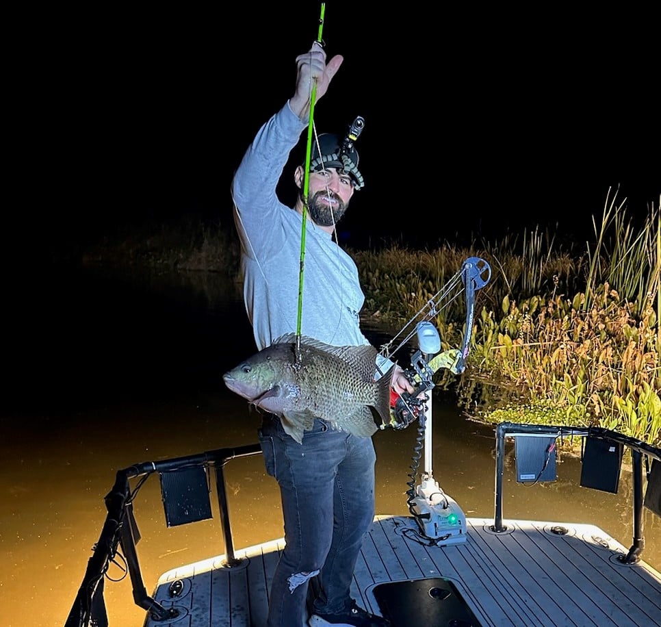 Tilapia
