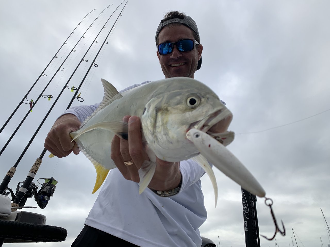 Jack Crevalle