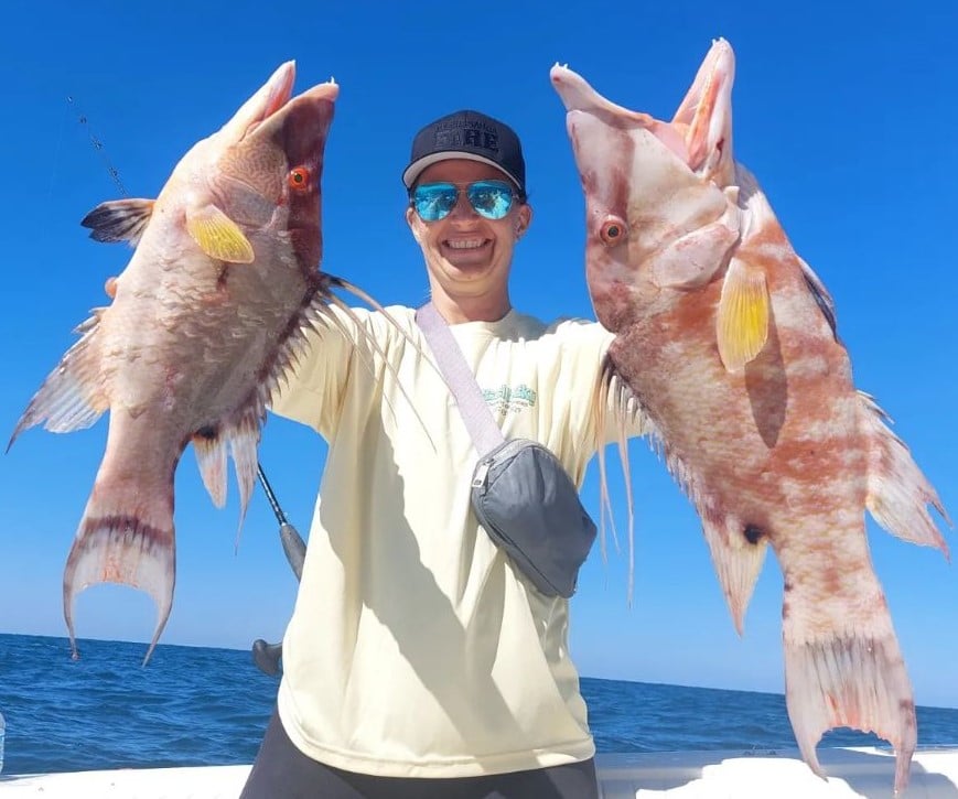 Hogfish