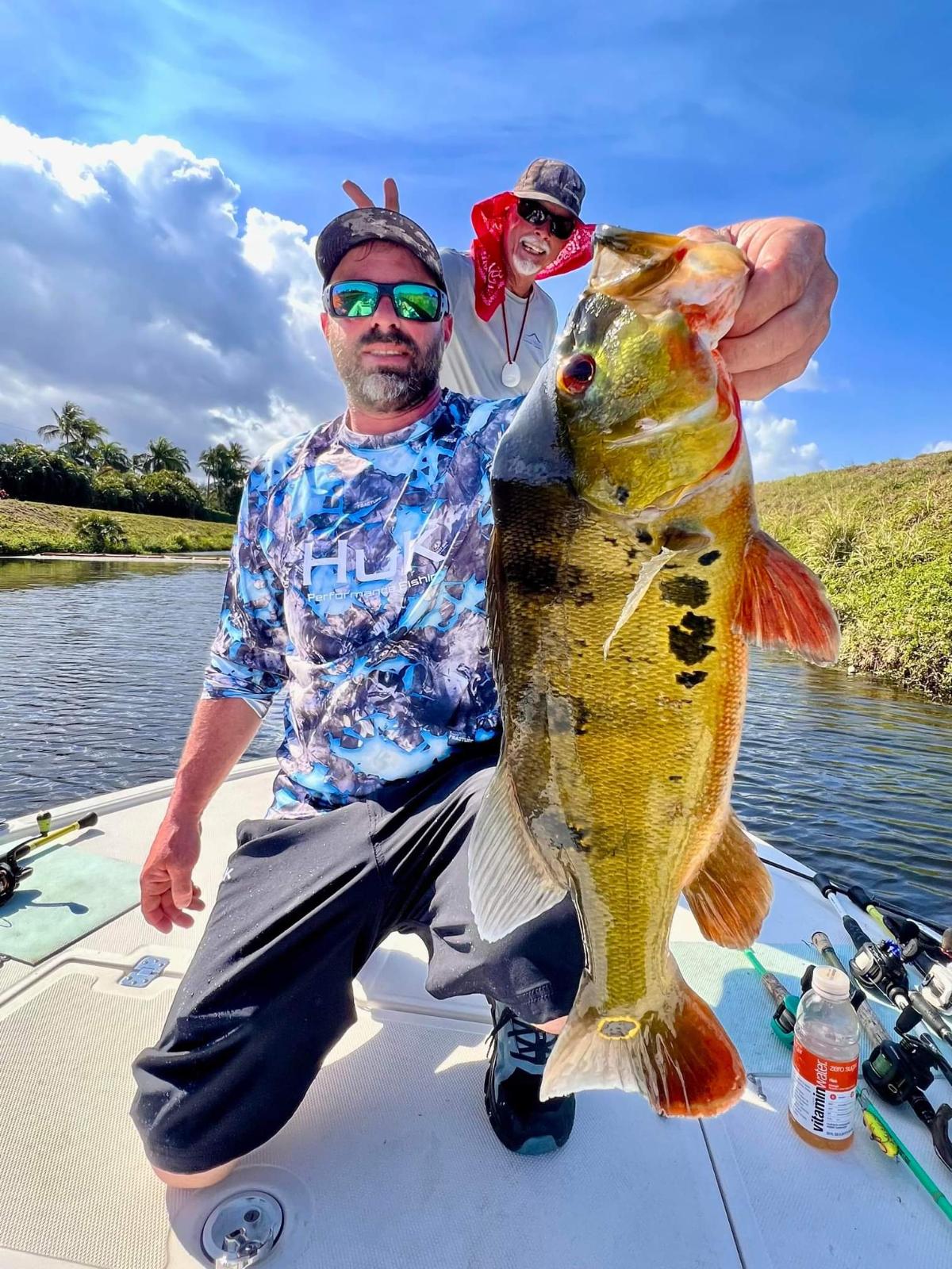 Peacock Bass