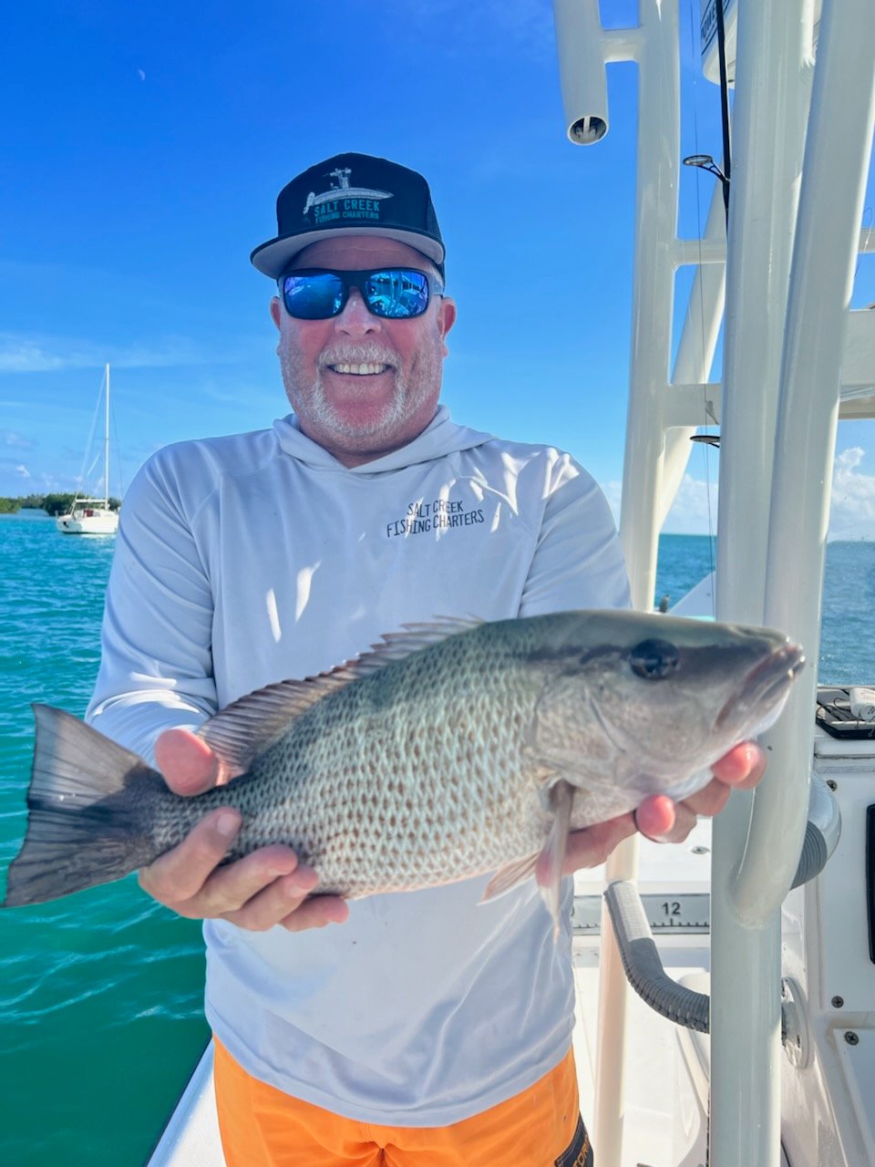 Mangrove Snapper