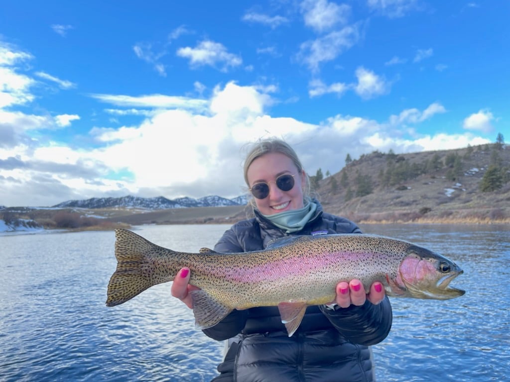 Rainbow Trout