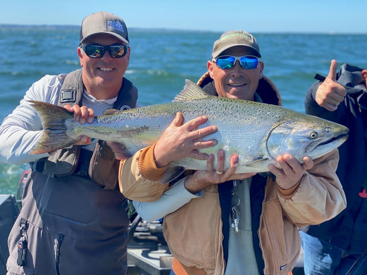 Chinook Salmon