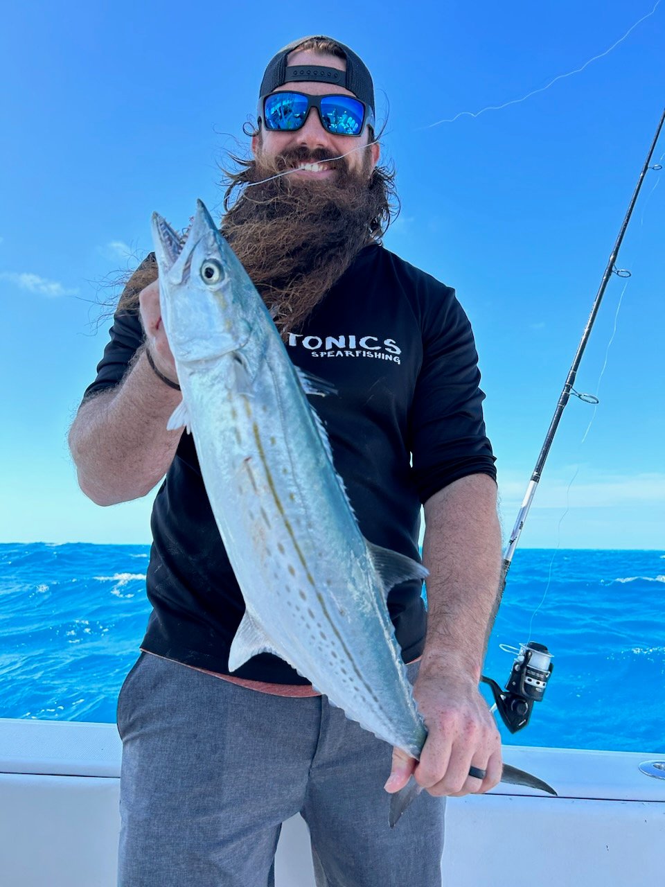 Cero Mackerel