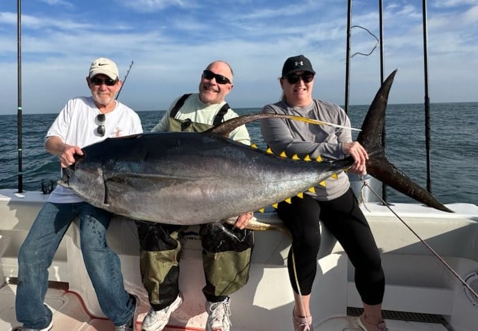 Yellowfin Tuna