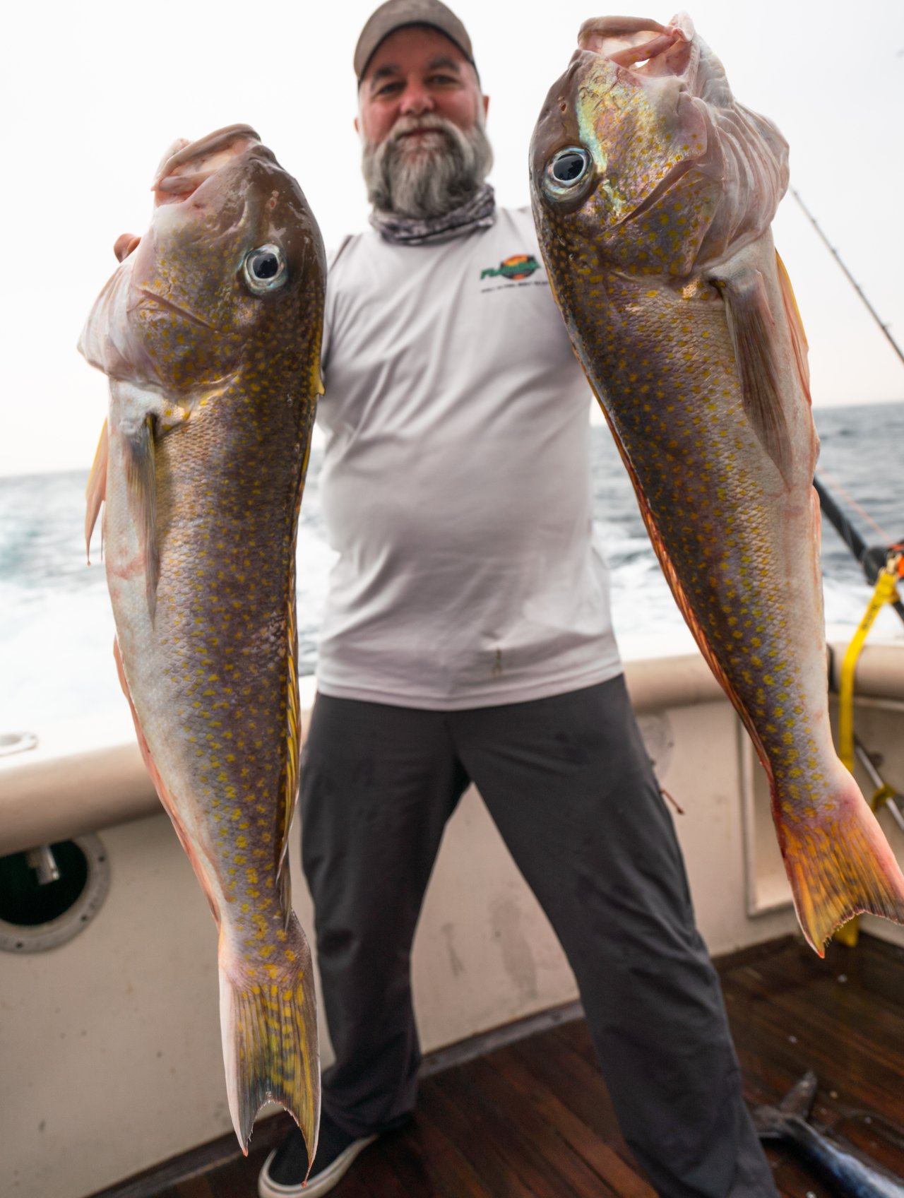 Tilefish