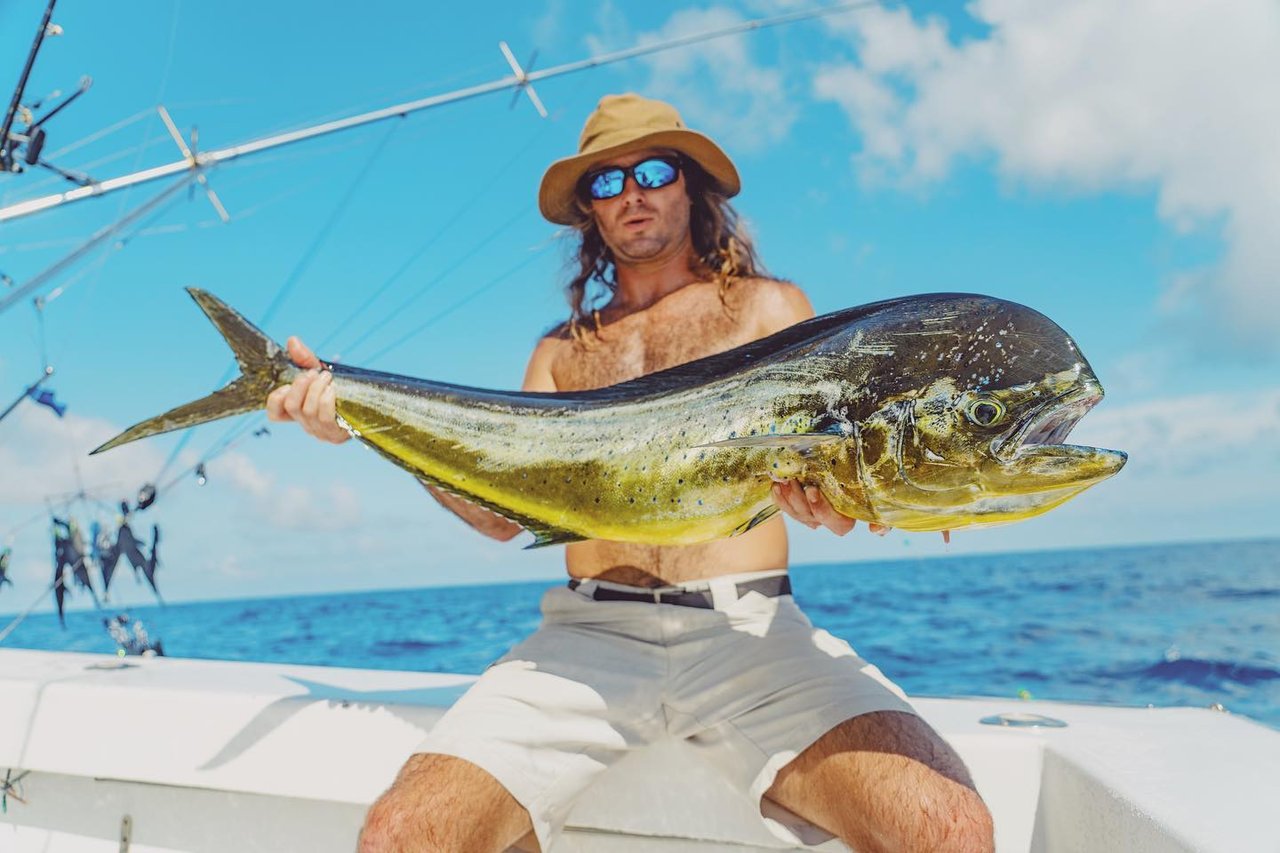 Mahi Mahi