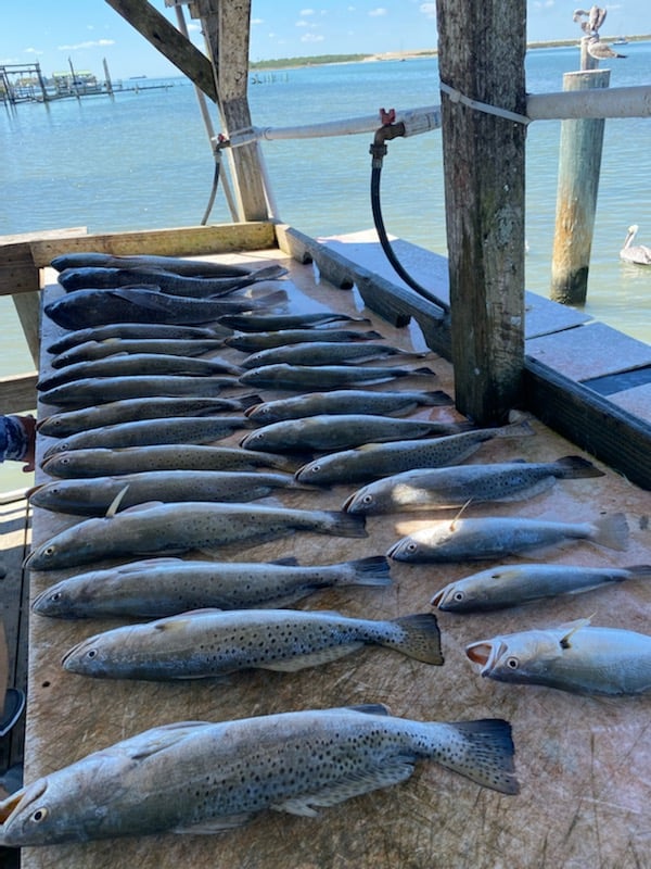 Aransas Pass Fishing Charters