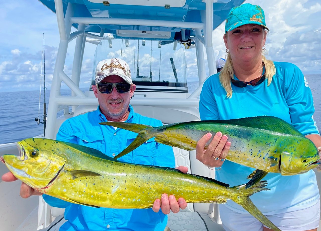 mahi mahi fishing