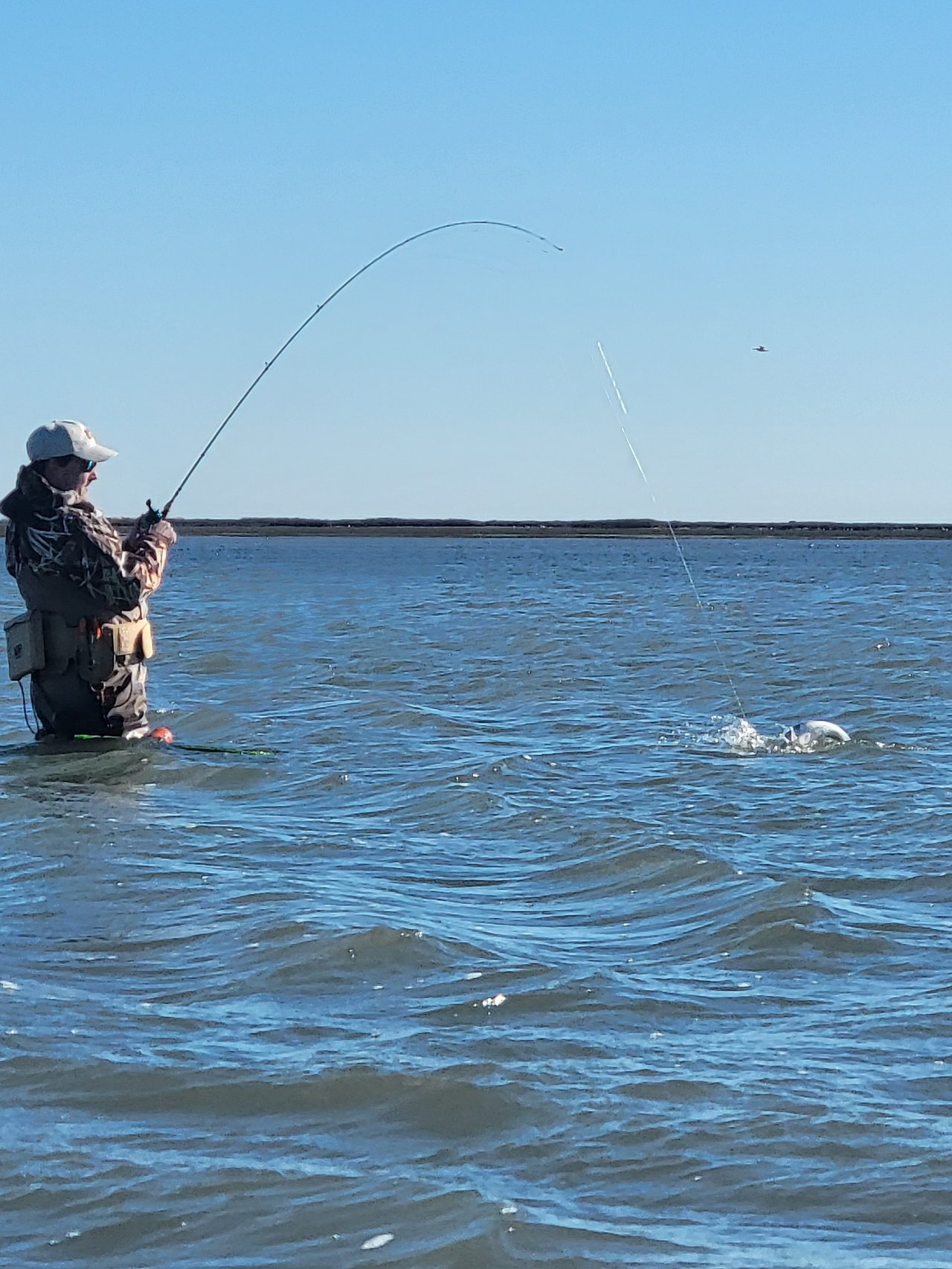 Aransas Pass Fishing Charters