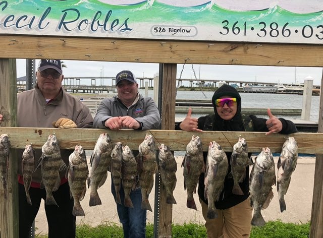 Aransas Pass Fishing Charters