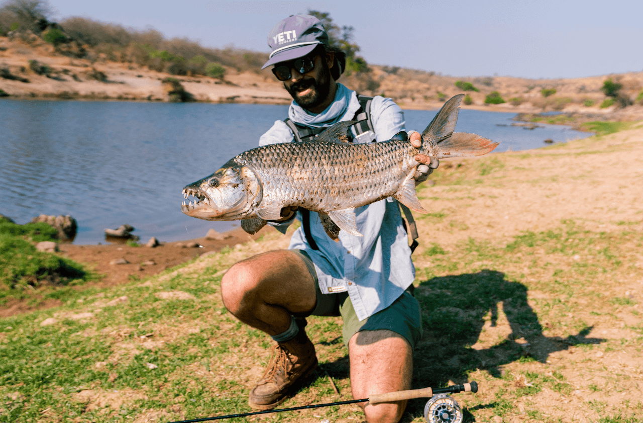 Park Record Tigerfish