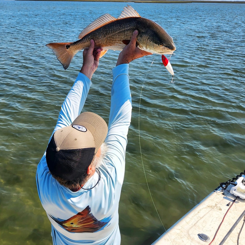 Redfish Eating Lure