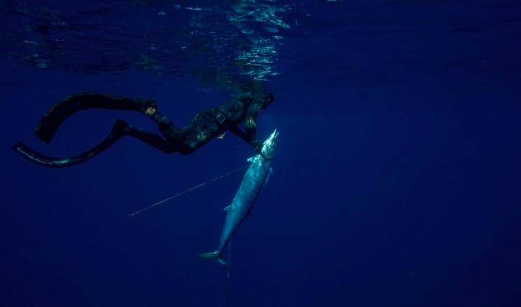 captain tony islamorada