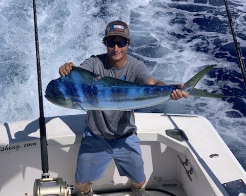Mahi Mahi Caught in Hawaii