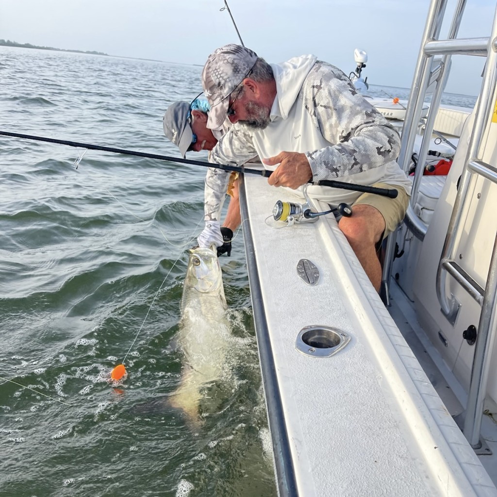 Tarpon in Naples Florida