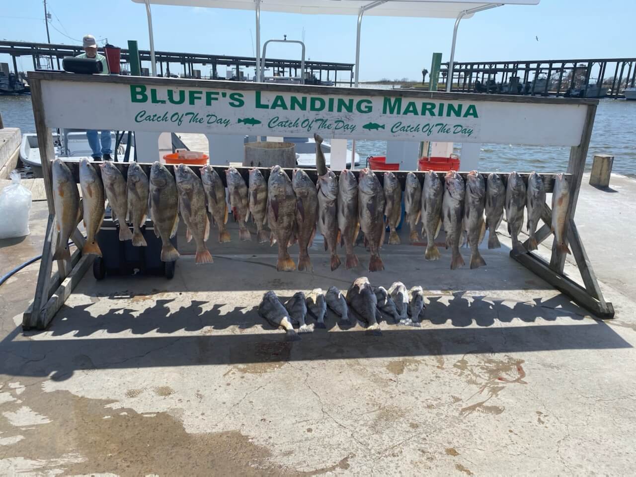 corpus christi fishing charter