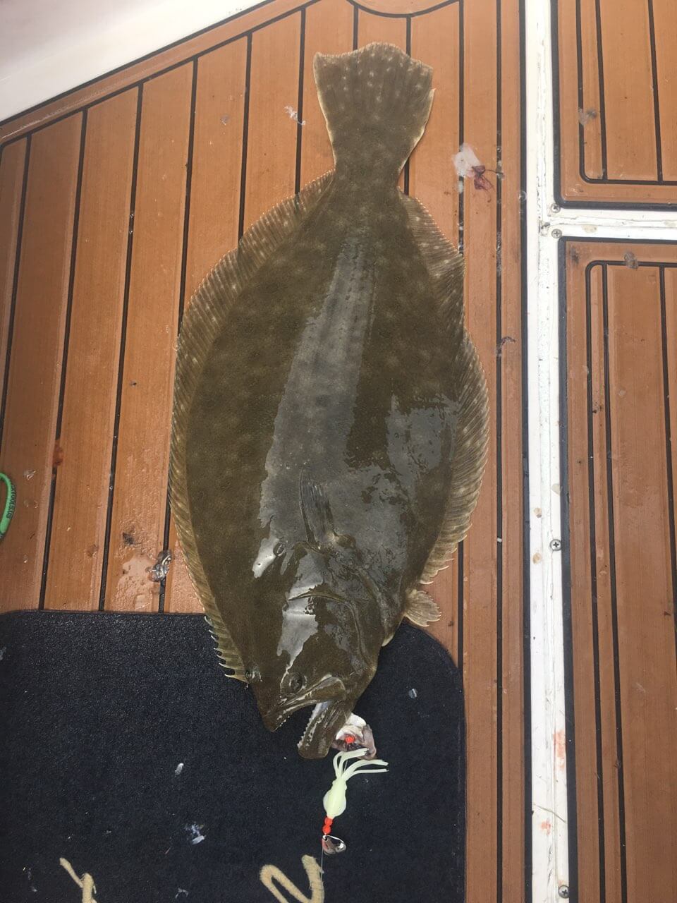 chatham fishing trip11