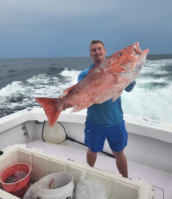 Massive Red Snapper