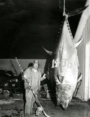 A Fisherman&#039;s Guide to Tuna Fishing