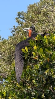 Fishing in Stuart, Florida